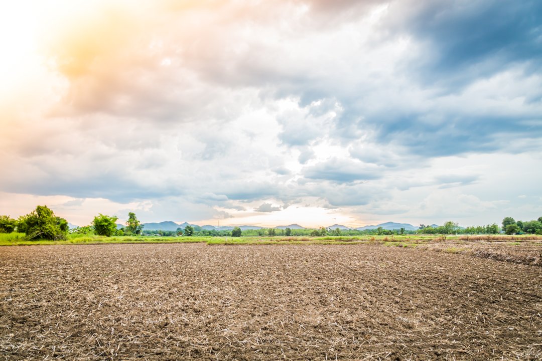 Wie viel und wann darf auf landwirtschaftlichen Flächen gebaut werden?